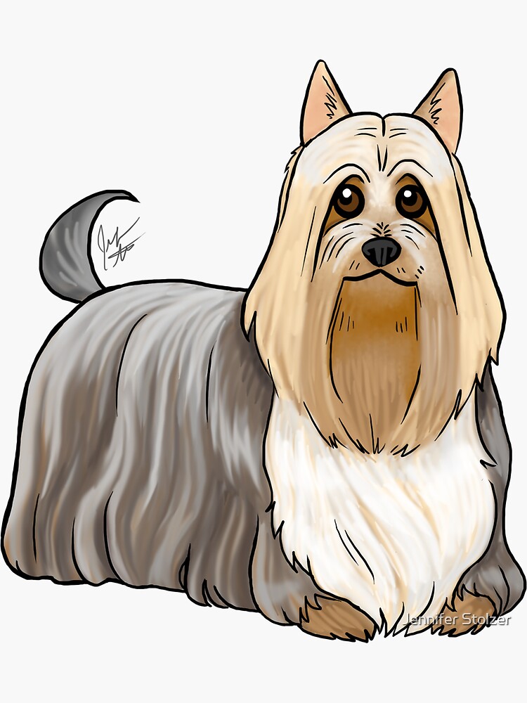 Silky Terrier by jameson9101322