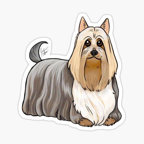 Item preview, Silky Terrier - Tan and Silver designed and sold by Jennifer Stolzer.