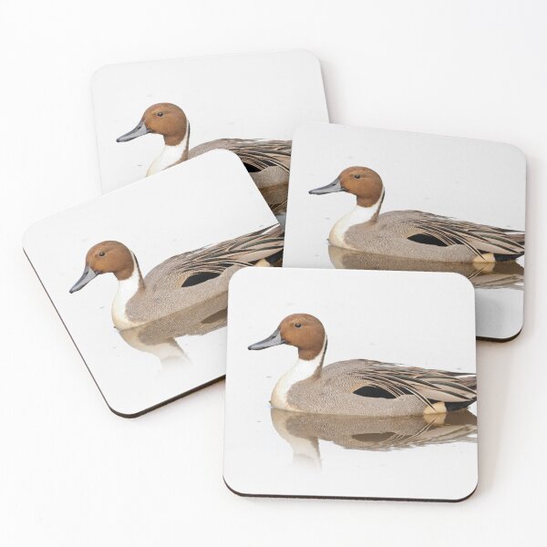 Item preview, Reflections of a Northern Pintail Duck designed and sold by walkswithnature.