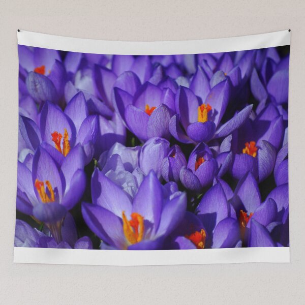 Item preview, Crocus as a family designed and sold by peterrobinsonjr.
