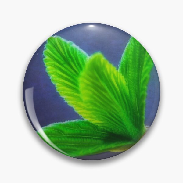 Item preview, Vivacious Viburnum Leaves designed and sold by Photo Art By Anita.