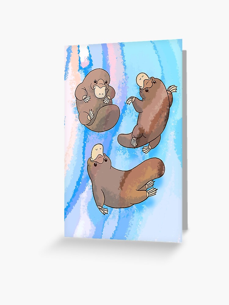 Platypus Puggle Pool Party Greeting Card By Theysaurus Redbubble