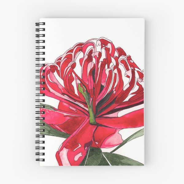 Artikelvorschau, Waratah-Blume, rote australische Flora entworfen und verkauft von blueidesign.