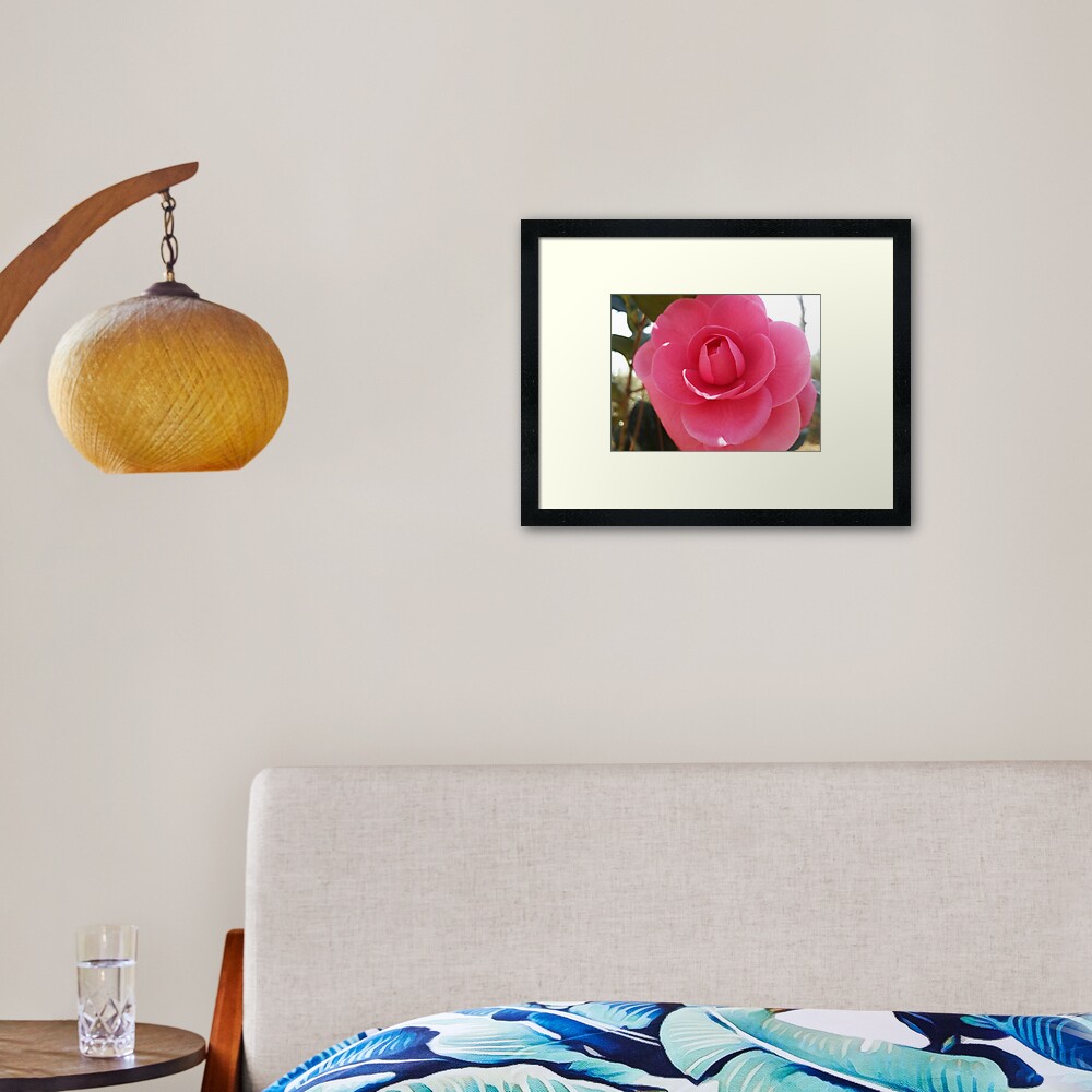 Pink Magnolia Blossom Framed Art Print