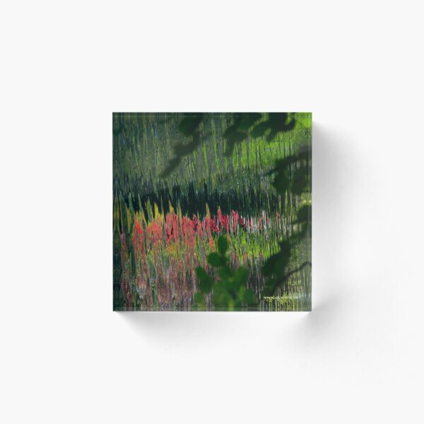 Study in Pink and Green Acrylic Block