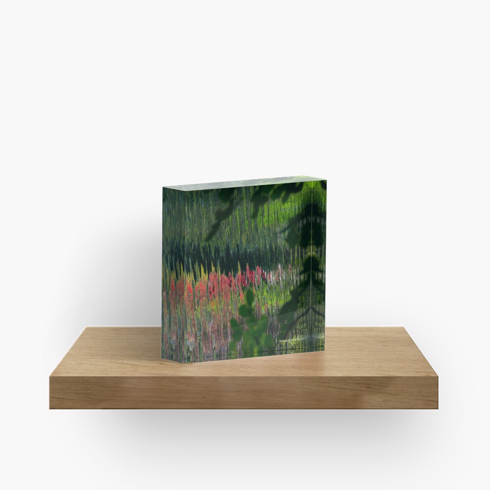 Item preview, Acrylic Block designed and sold by leemcintyre.