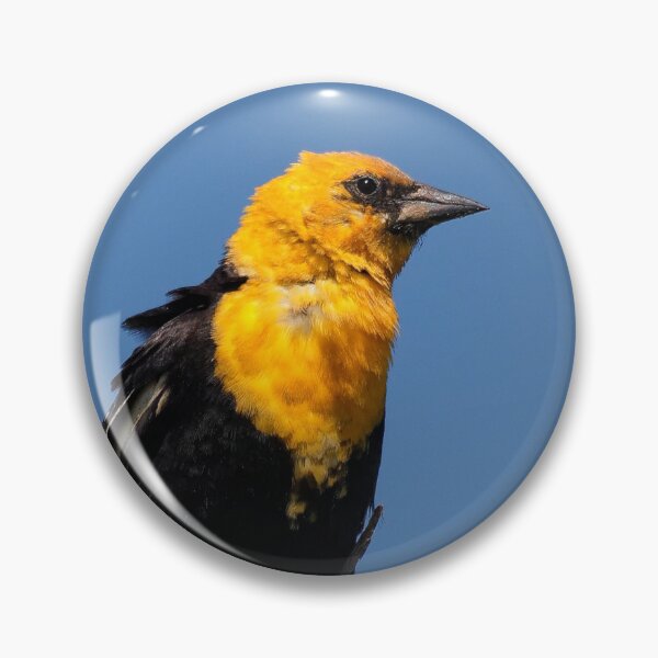 Item preview, Gorgeous Yellow-Headed Blackbird on a Windy Day designed and sold by walkswithnature.