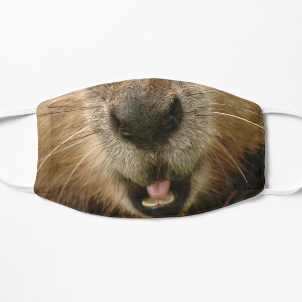 Beaver Face" for Sale by snachodog | Redbubble