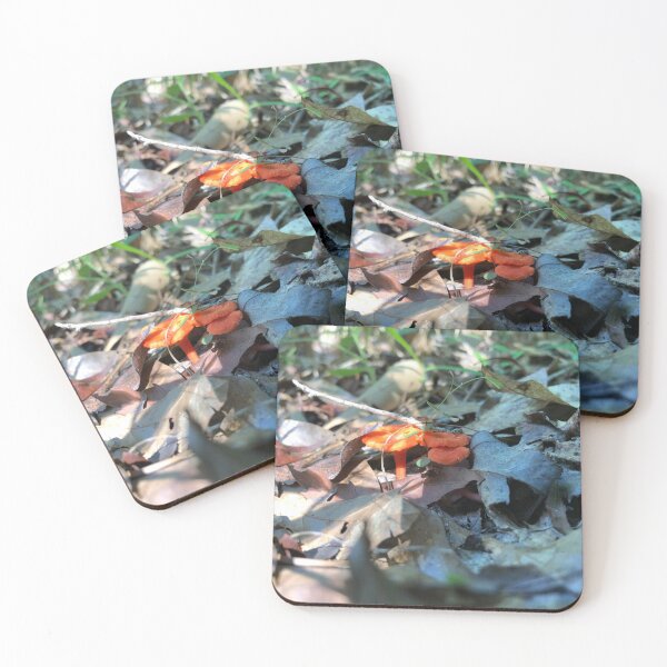Item preview, A Touch of Color designed and sold by lezell.