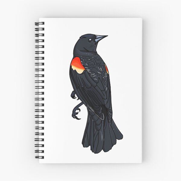 Artikelvorschau, Tapfere Amsel entworfen und verkauft von Malamootpoint.