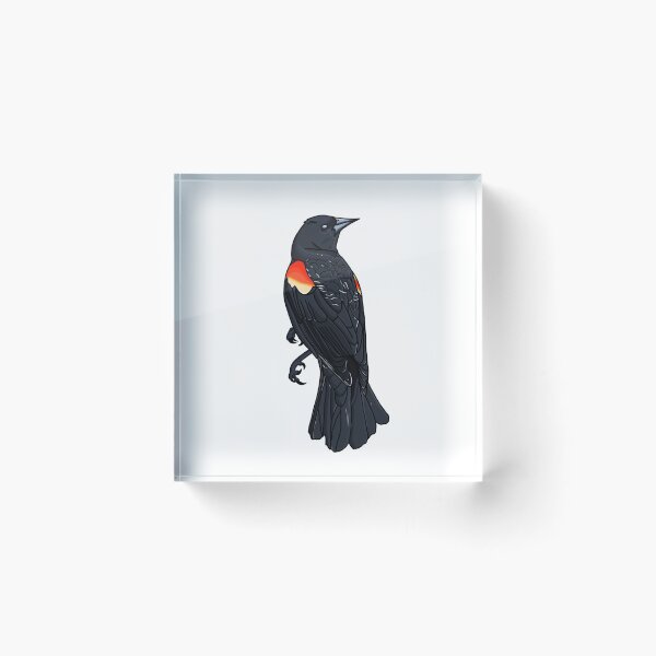 Item preview, Brave Blackbird  designed and sold by Malamootpoint.