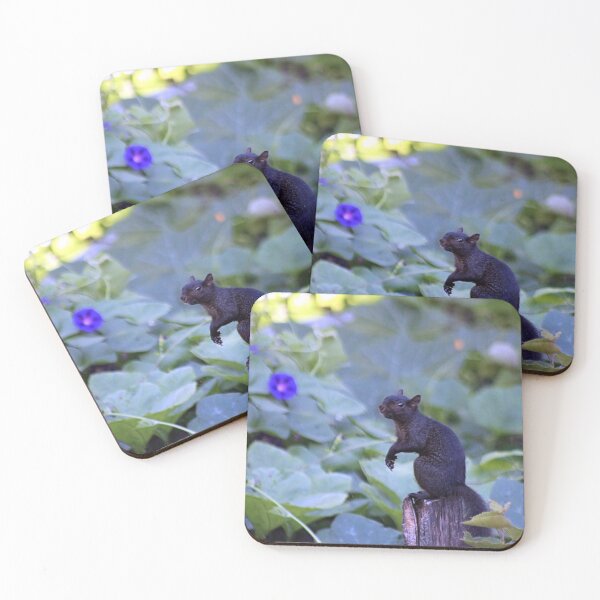 Item preview, BLACK SQUIRREL STANDING designed and sold by BOLLA67.