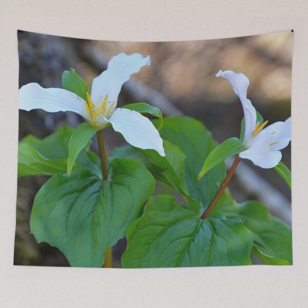 Item preview, Trillium 3 designed and sold by Randy Giesbrecht.