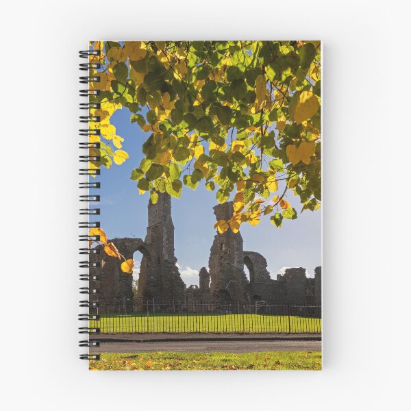 Item preview, Neath Abbey, Neath Port Talbot, Wales designed and sold by Dan Santillo.