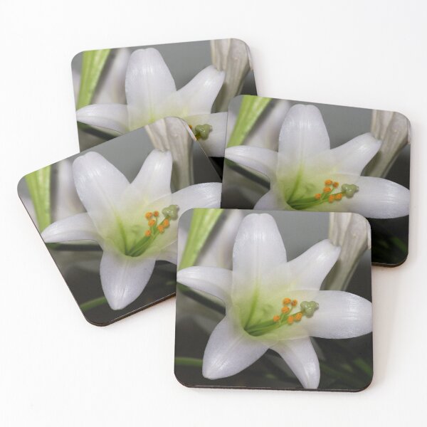Item preview, Easter Lily  designed and sold by PhotosByJG.