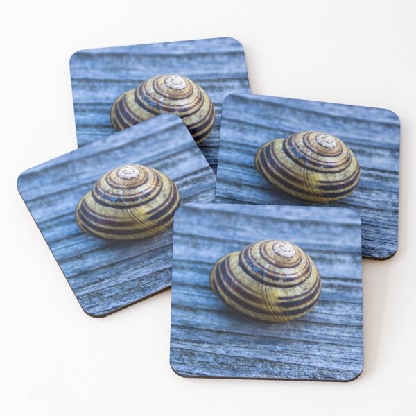 Item preview, snail shell  designed and sold by PhotosByJG.