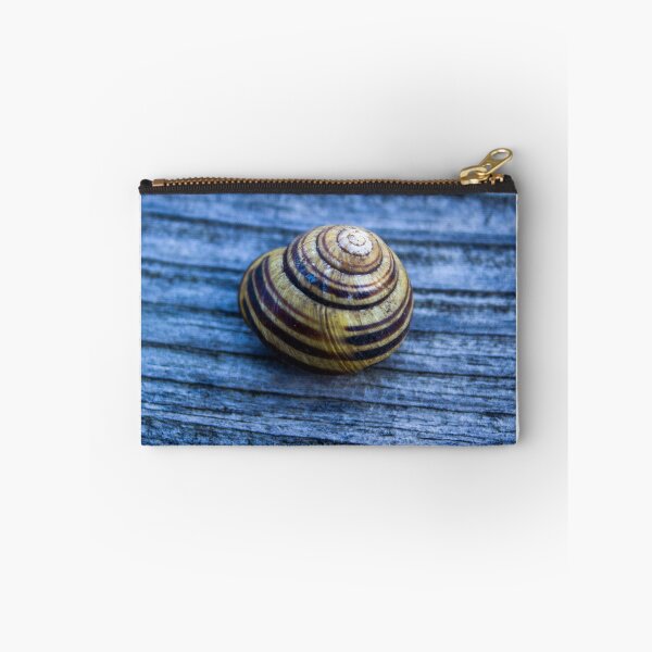 Item preview, snail shell  designed and sold by PhotosByJG.