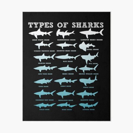 Types of Sharks Art Board Print