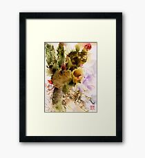 Desert Sunset Framed Print