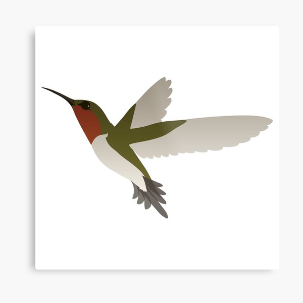 Cartoon Hummingbird Wall Art for Sale | Redbubble Cartoon Hummingbird Wall Art for Sale | Redbubble