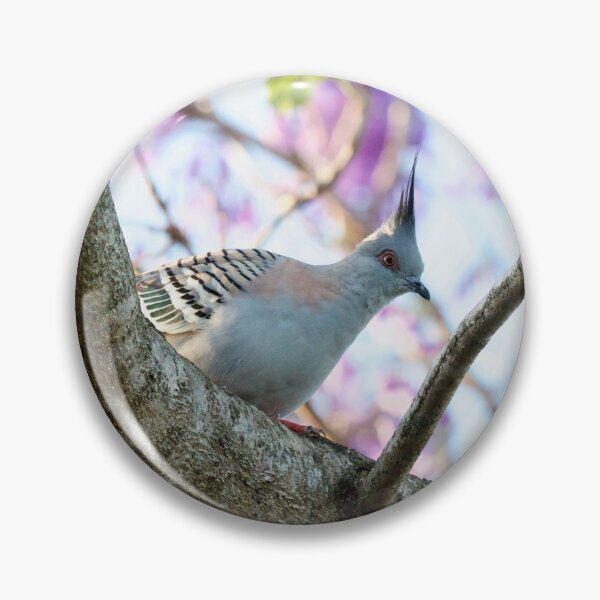 Item preview, Crested Pigeon designed and sold by MargsNaturePix.