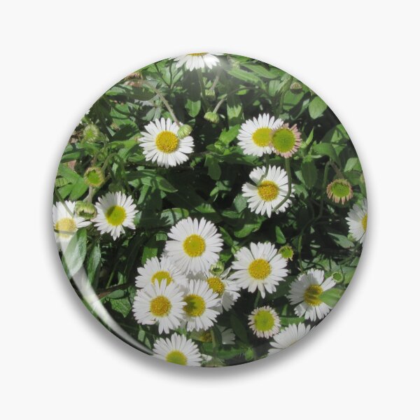 Item preview, Wall Daisies In My Garden (Erigeron) designed and sold by lezvee.