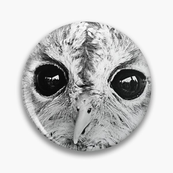 Item preview, Little Tawny Owl designed and sold by Alexandra Lavizzari.