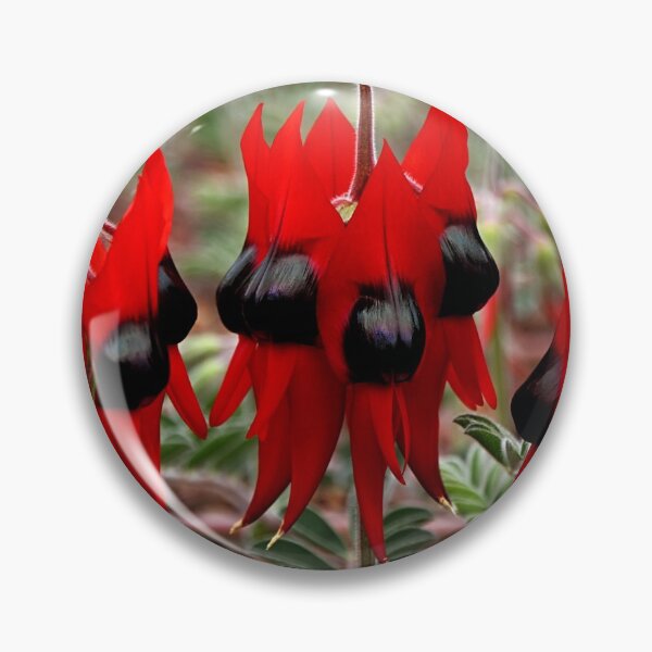 Item preview, Sturt's Desert Pea designed and sold by Carole-Anne.