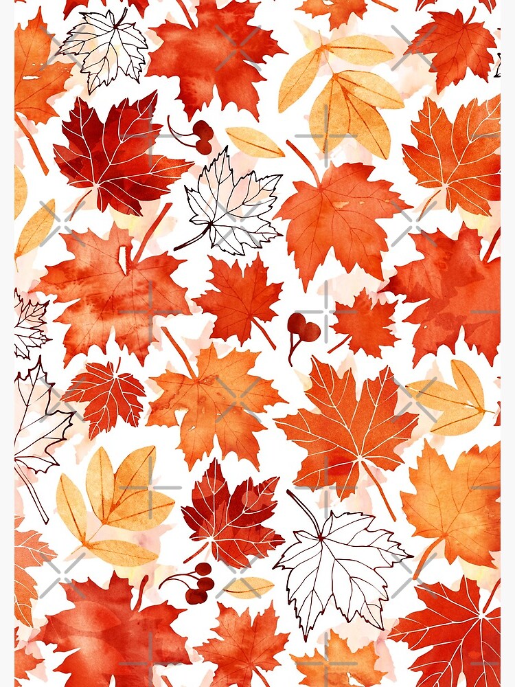 Autumn leaves and berries by adenaJ