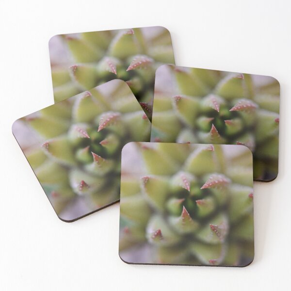 Item preview, Haworthia Reinwardtii designed and sold by Jennifer Suttle.