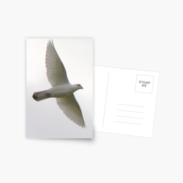 Item preview, in flight designed and sold by Maree Costello.