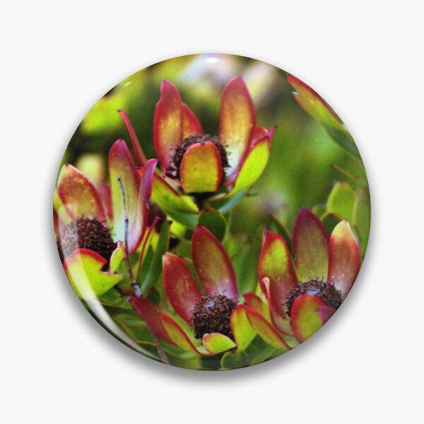 Item preview, Flowers of the Fynbus, Table Mountain, South Africa designed and sold by Carole-Anne.