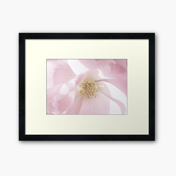 Pale Pink Framed Art Print