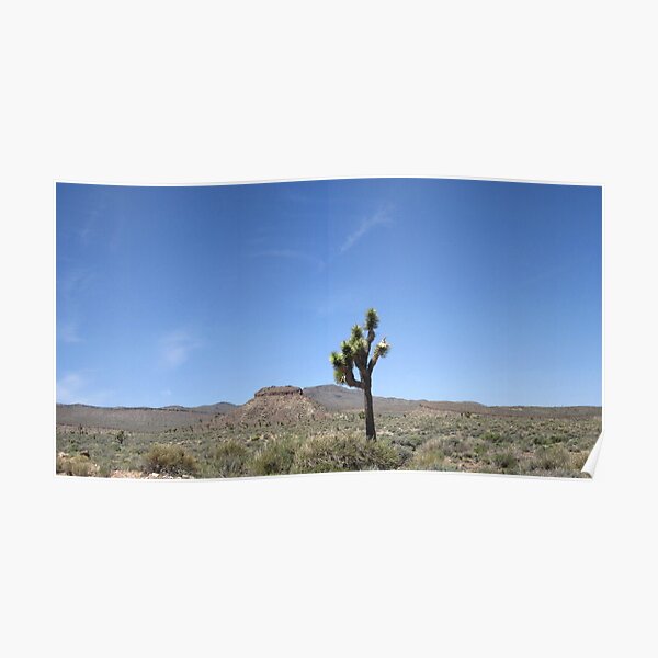 Desert Poster