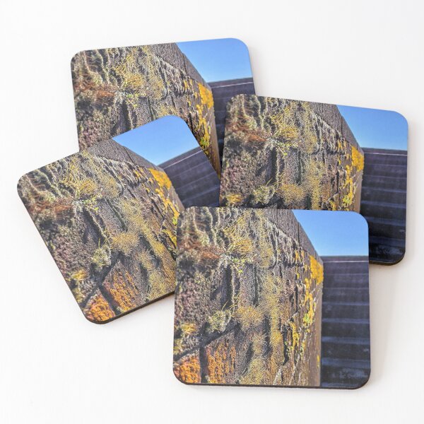 Item preview, Macon Moss designed and sold by giftoftradition.