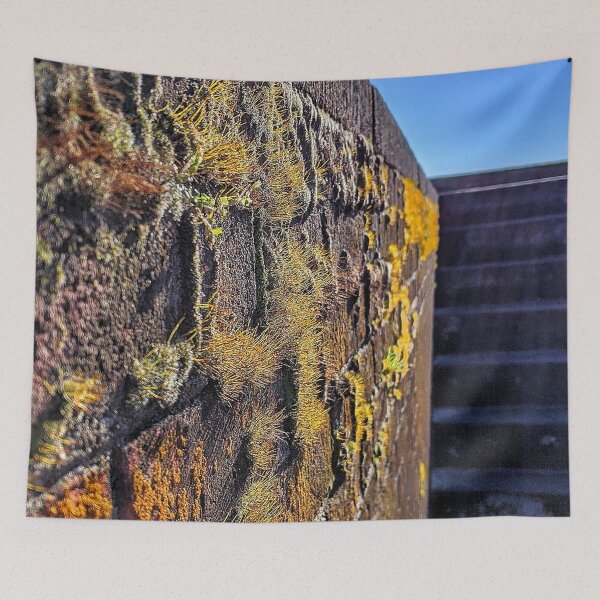 Item preview, Macon Moss designed and sold by giftoftradition.