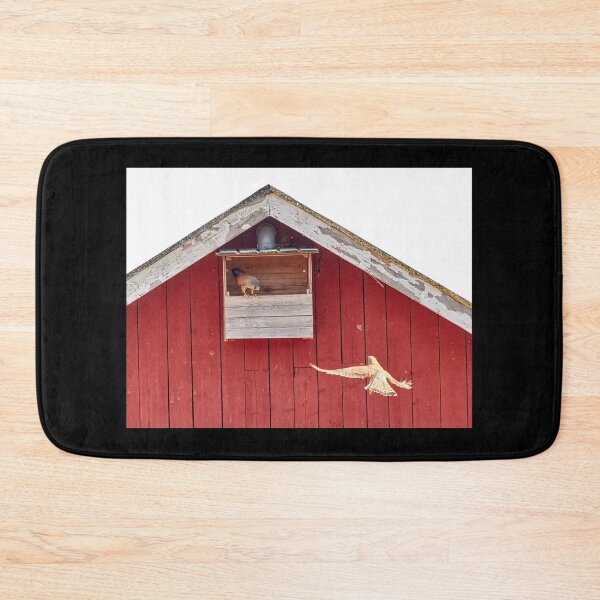Item preview, How about this one.  Common kestrel designed and sold by Jouko Lehto Photography.