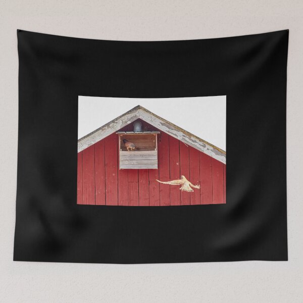 Item preview, How about this one.  Common kestrel designed and sold by Jouko Lehto Photography.