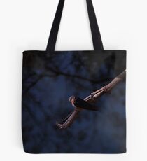 Scavenging Robbin Tote Bag