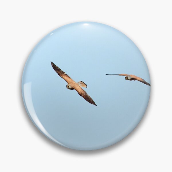 Item preview, Together we fly. Common kestrel designed and sold by Jouko Lehto Photography.