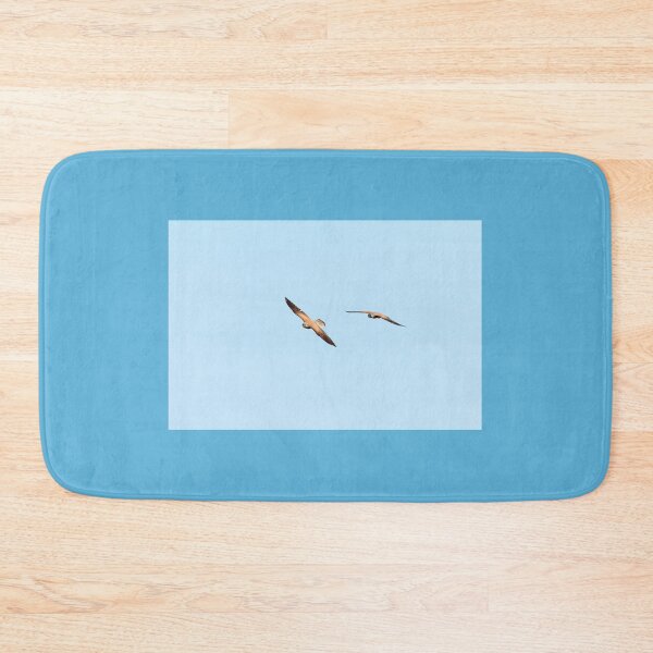 Item preview, Together we fly. Common kestrel designed and sold by Jouko Lehto Photography.