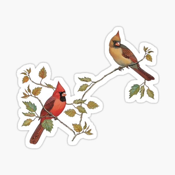 Cardinal Couple Sticker