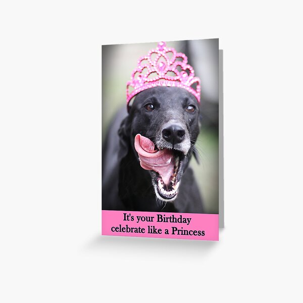 Item preview, Celebrate like a Princess designed and sold by GreyhoundSN.