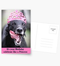 Celebrate like a Princess Postcards