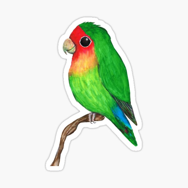 Item preview, Very cute peach faced lovebird designed and sold by Bwiselizzy.