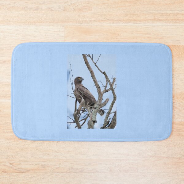 Item preview, Brown Snake-Eagle (Circaetus cinereus) designed and sold by Yair Karelic.