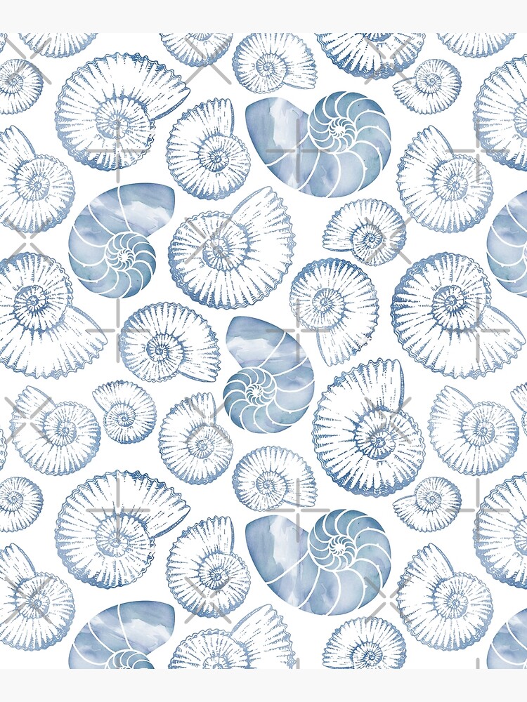 Blue nautilus shells pastel by adenaJ