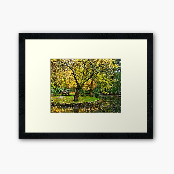 Item preview, Autumn at the Alfred Nicholas Memorial Gardens, Victoria, Australia. designed and sold by johnrf.