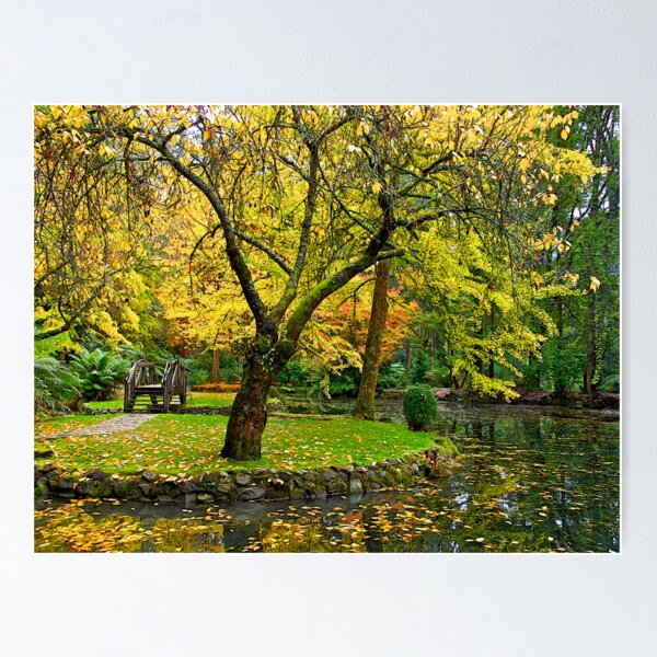 Item preview, Autumn at the Alfred Nicholas Memorial Gardens, Victoria, Australia. designed and sold by johnrf.