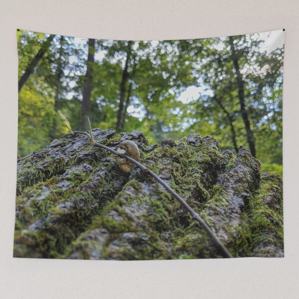Item preview, Snail's Rest  designed and sold by giftoftradition.